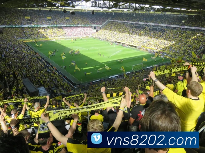 威尼斯娱乐平台发展历程